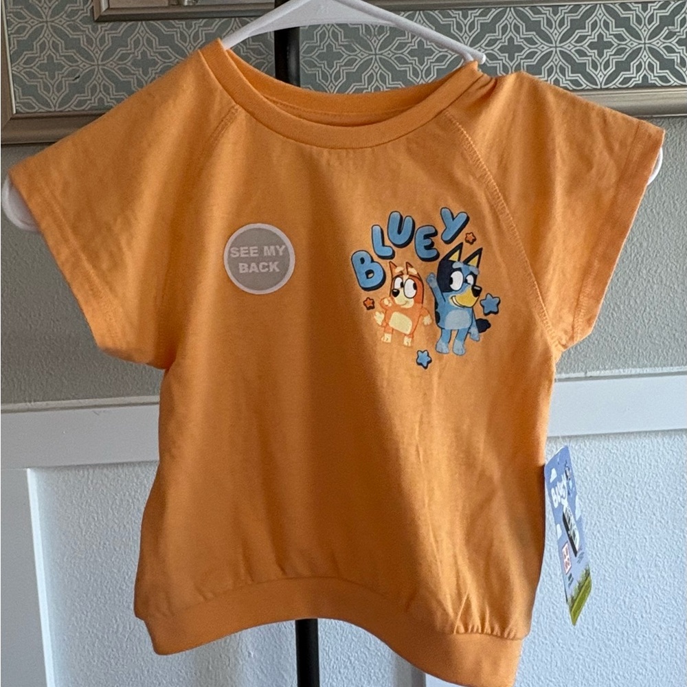 Bluey Toddler Outfit Set 3T Orange Graphic Tee Gray Shorts NWT